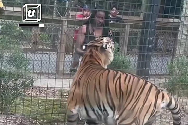 Ngày Dài và Một Đêm