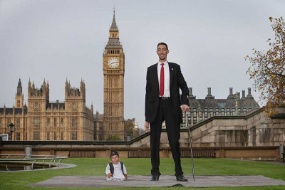 “cao” tiếng Anh là “tall” hay “high”? Phân biệt như thế nào mới đúng?