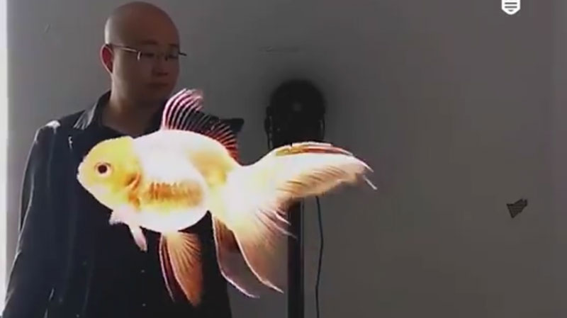 The 3D Fan That Blows Your Mind
