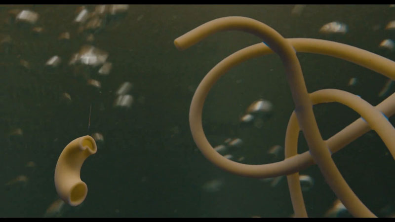 Deleted Scenes in Everything Everywhere All at Once - Scene 5