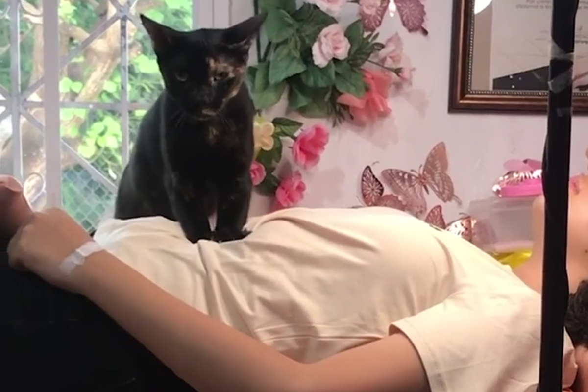 Cat%20helps%20massage%20clients_001_921.png