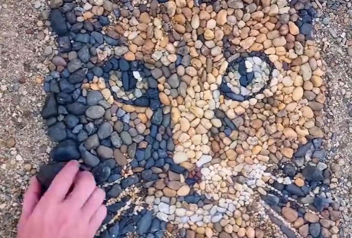Stunning Cat Portrait from Pebbles