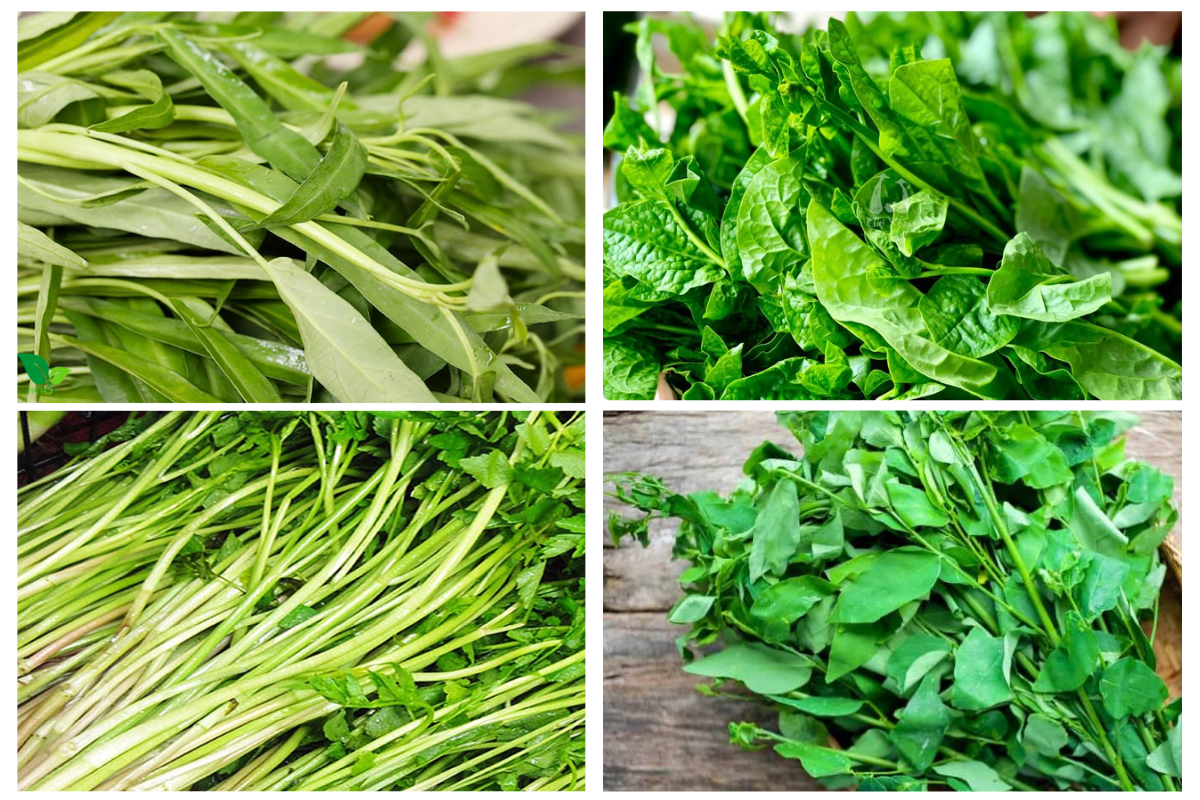 Từ vựng về các loại rau thuần Việt 1