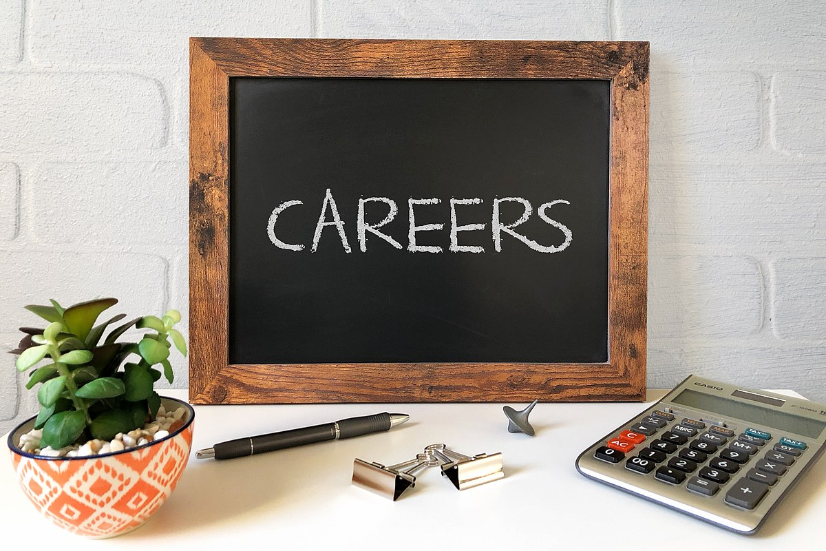 Career