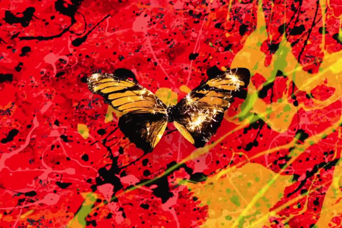 Lời dịch Collide – Ed Sheeran
