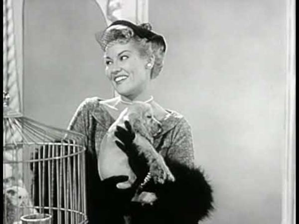 Lời dịch How Much Is That Doggie in the Window - Patti Page - ảnh 1