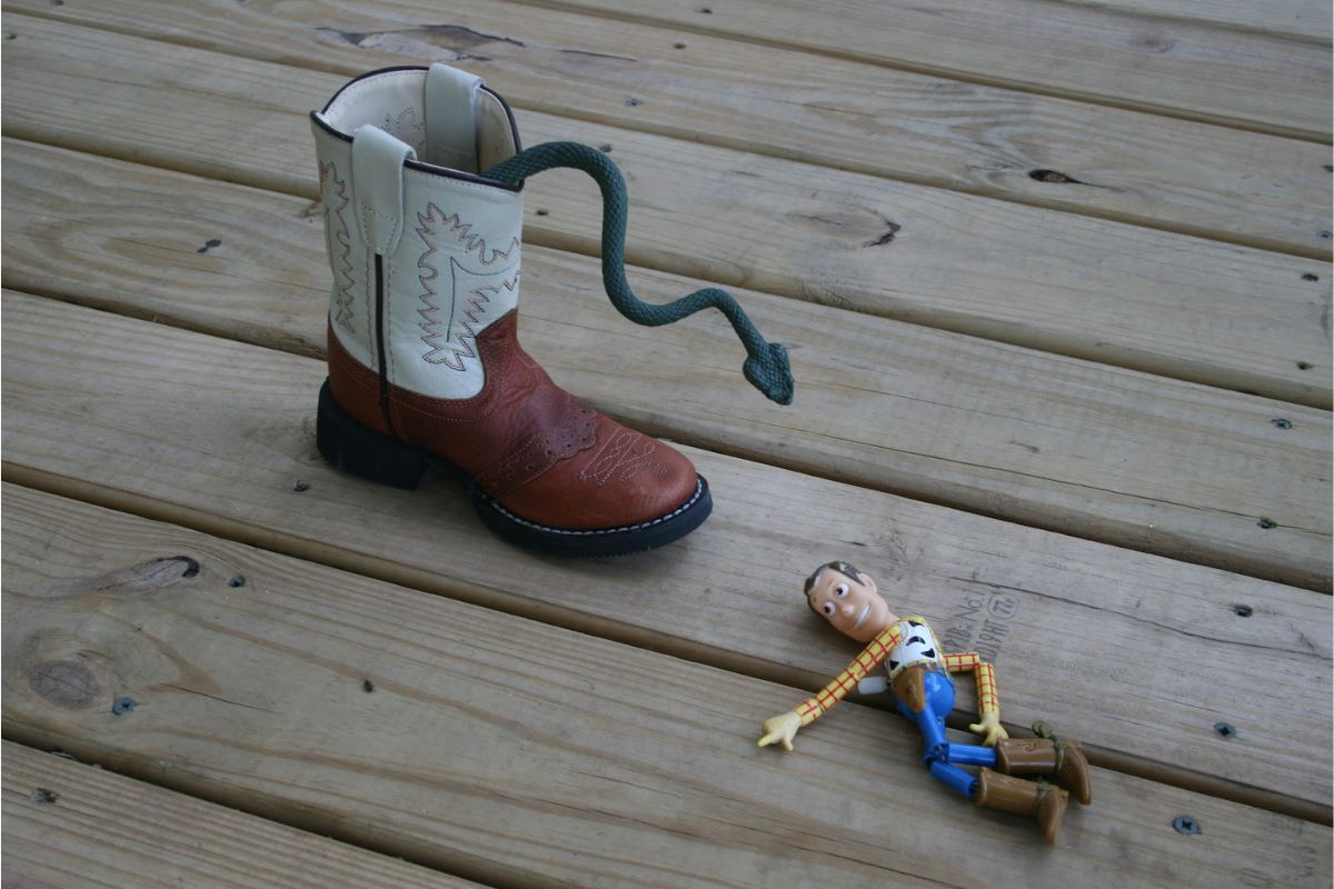 A snake in boot