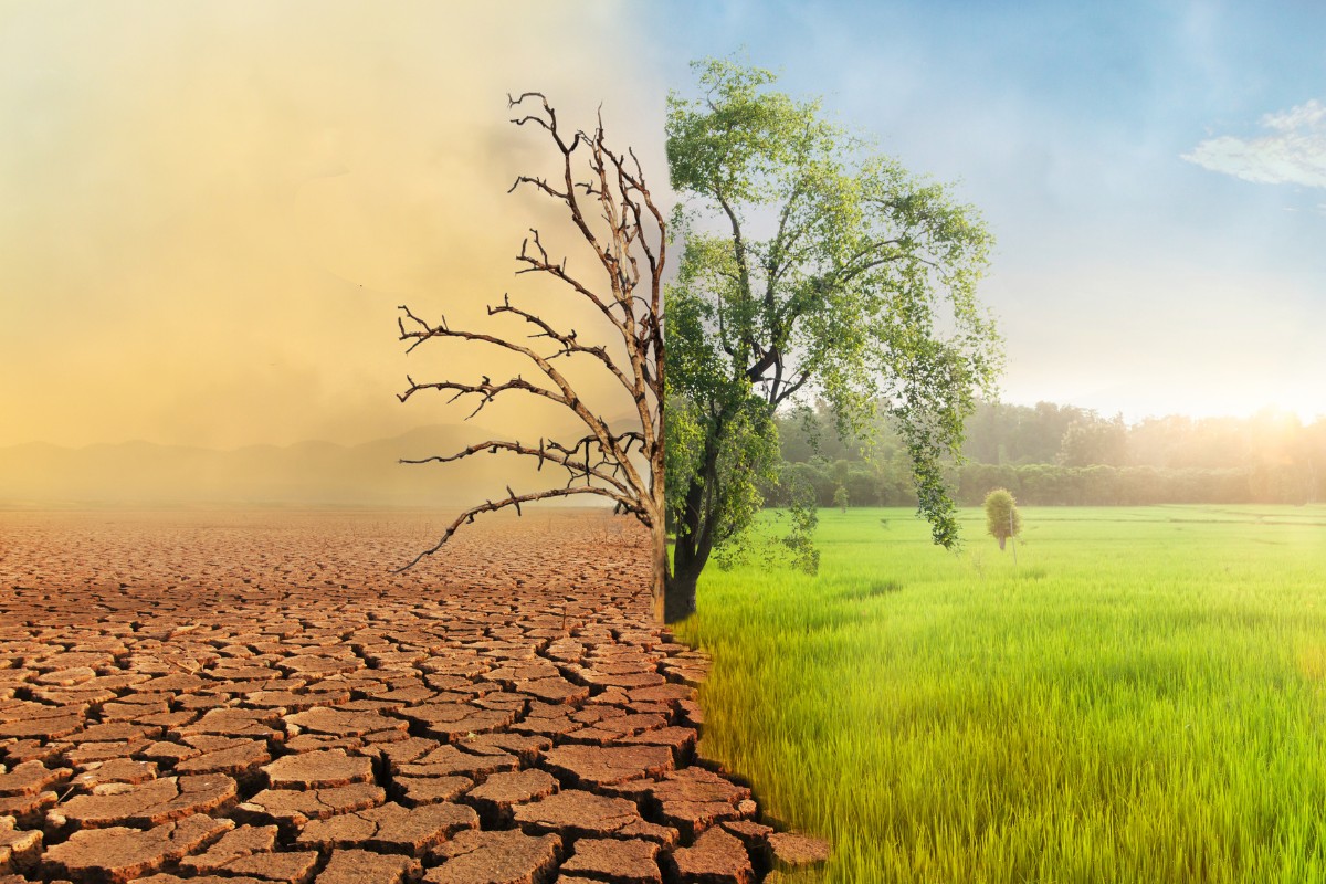Climate change