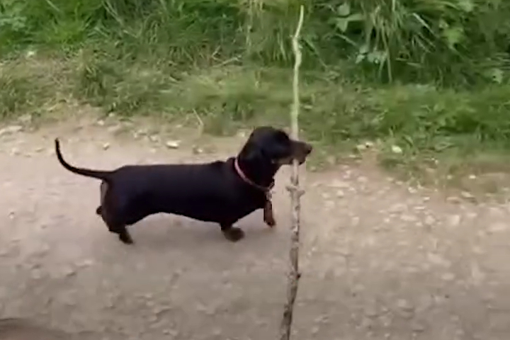 Tuổi Nhỏ Làm Việc Lớn