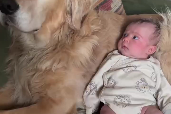 Cái Nhìn Đầu Tiên...