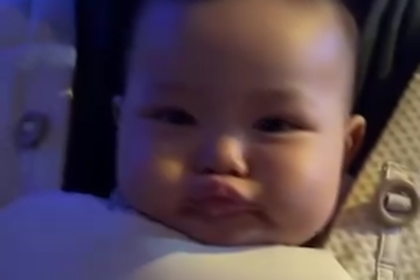 Bé Nhà Tôi Vừa Học Được Một Kỹ Năng Mới Ở Thủy Cung