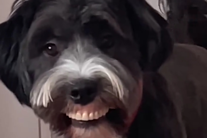 Trông Mày Lạ Lắm