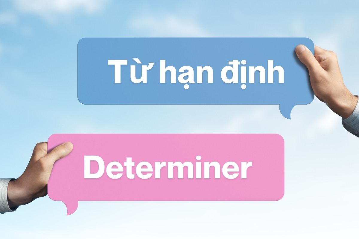 Cách dùng từ hạn định trong Tiếng Anh