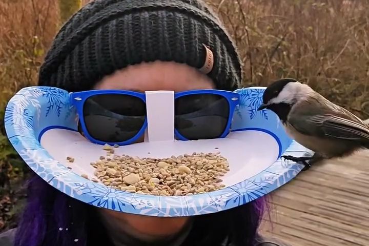 Giving the Bird Face Feeder a Try