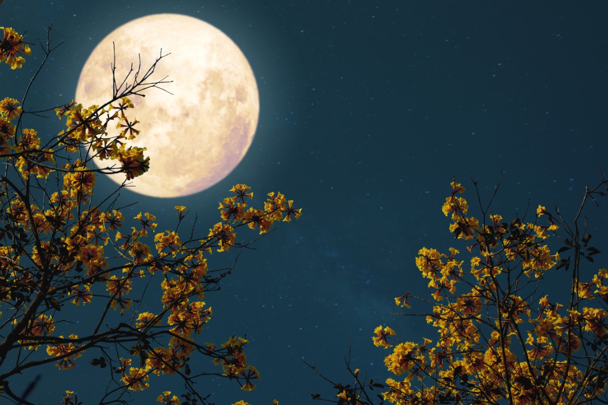 "Rằm Tháng Giêng" Tiếng Anh là gì?