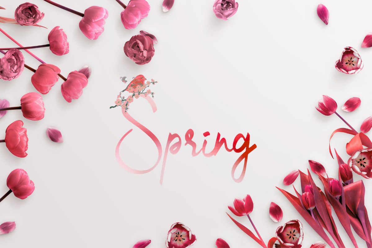 4 nghĩa khác nhau của "Spring"