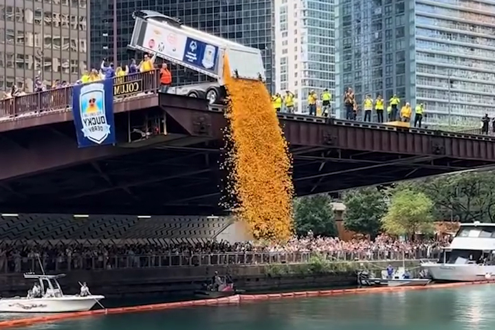 Sao Họ Lại Đổ Phô Mai Xuống Sông Chicago Thế Kia?