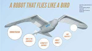 A Robot That Flies Like A Bird