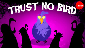 Bạn có nuôi con chim đã giết con bạn không ? - Steve Rothstein