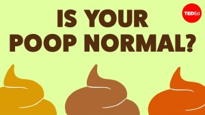 Phân của bạn có thể cho biết điều gì về sức khỏe? – Hannibal Person