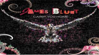 Carry You Home