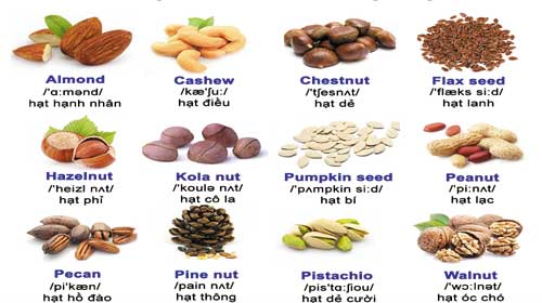 Từ vựng tiếng Anh: Các loại hạt