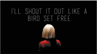 Bird Set Free