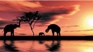 South Africa Travel & Vacation Precautions