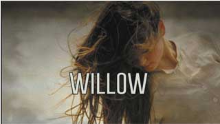 Bài hát WILLOW