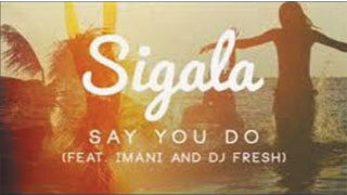 Say You Do