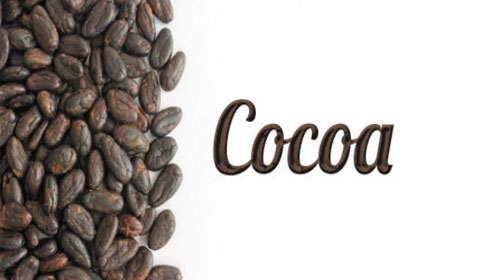 Ca cao có thể làm suy giảm chứng mất trí nhớ - Cocoa 'might prevent memory decline'
