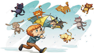 Trời đang mưa tầm tã