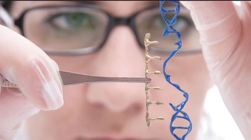 Chỉnh sửa gen có thể chữa bệnh ung thư và bệnh di truyền ALL  - Gene editing could cure cancer and ALL inherited diseases

