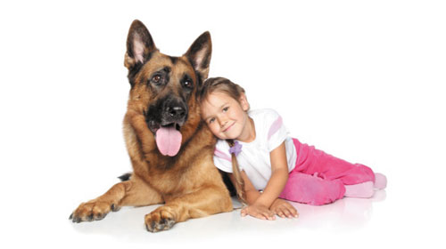 Chú chó nhỏ cứu sống 1 cô bé - Small dog helps a girl
