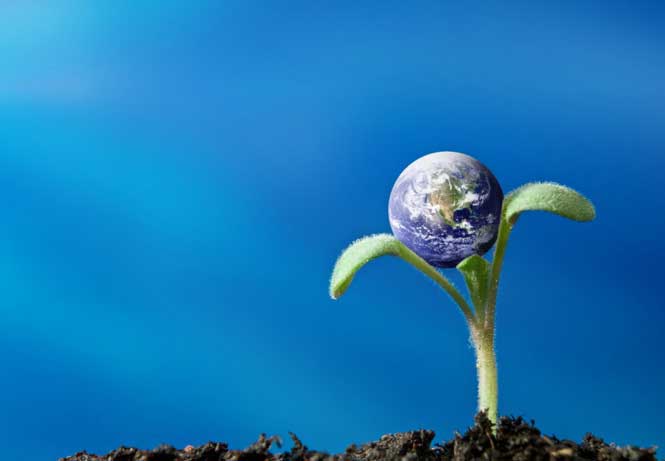 Laws of Nature – Những quy luật tự nhiên