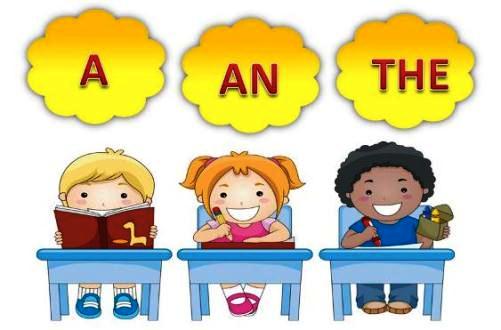 Cách sử dụng mạo từ: