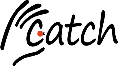 Các cụm từ với “Catch”
