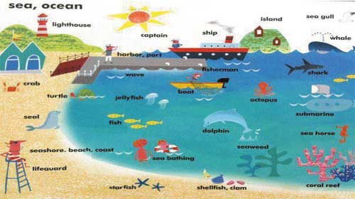 Tiếng Anh chủ đề: Biển