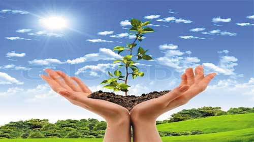 "Đất" : Có bao nhiêu từ tiếng Anh để diễn tả.