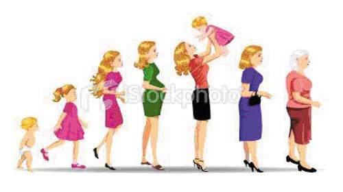 Những giai đoạn của cuộc đời.