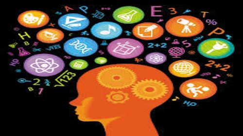 Những từ vựng về "Mind"