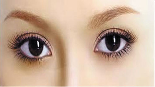 Tiếng Anh chủ đề: Mắt