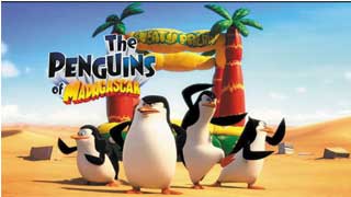 Những chú chim Cánh Cụt Vùng Madagascar