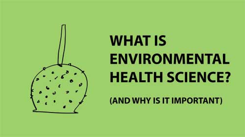 Khoa học sức khỏe môi trường là gì?