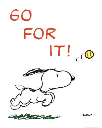 Những giới từ đi cùng "Go"