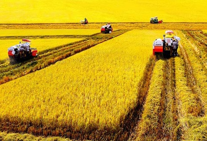 Từ vựng tiếng anh trong nông nghiệp
