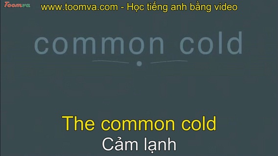 Bệnh cảm lạnh