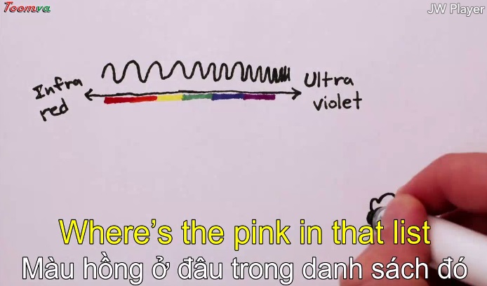 Không có ánh hồng